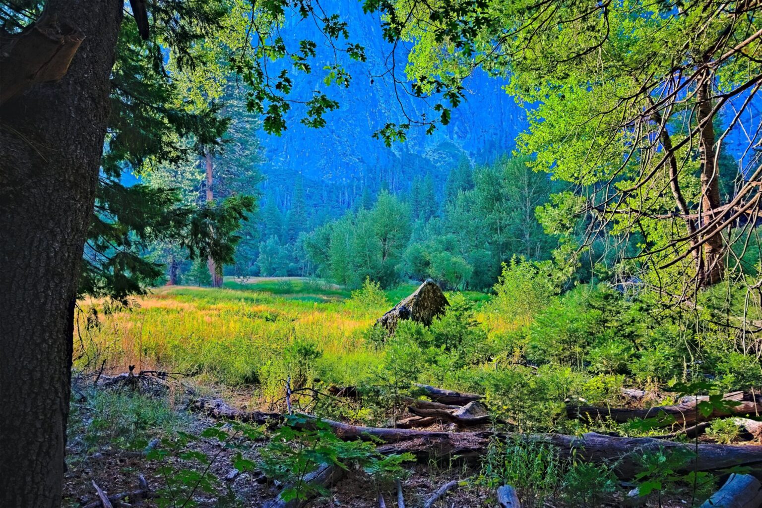 Yosemite Valley