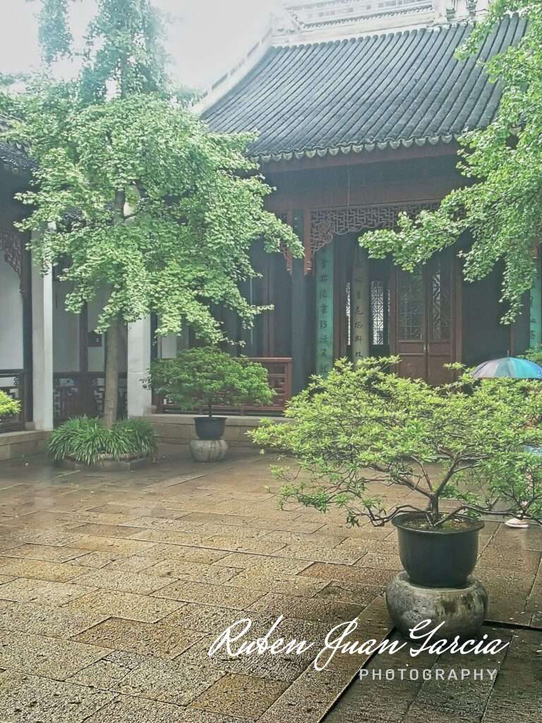 Serene courtyard, morning fog