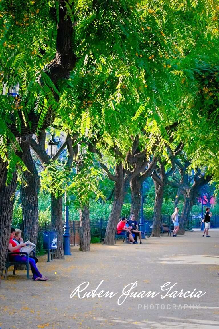 Dreamy barcelona park scene